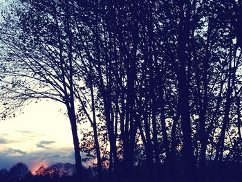 Low angle view of silhouette trees against sky at sunset