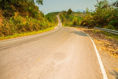 Empty road along trees and plants