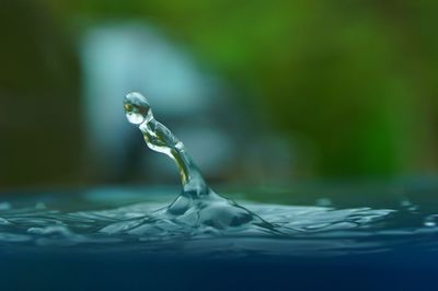 Close-up of drop falling on water surface