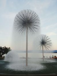 Coconut palm tree in lake against cloudy sky