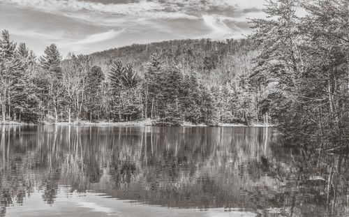 Scenic view of lake in forest against sky