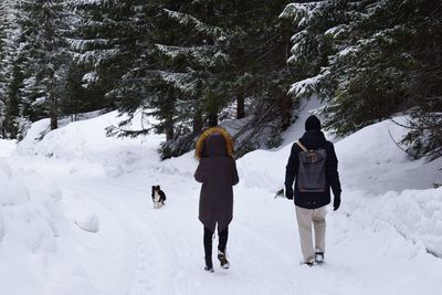 Rear view of friends with dog walking on snow covered land in forest
