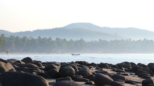 Scenic view of sea against clear sky