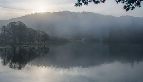 Scenic view of lake by trees against sky
