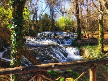 Scenic view of waterfall in forest