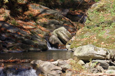 Scenic view of river and rocks