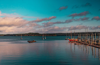 Sailboats moored at harbor against blue sky