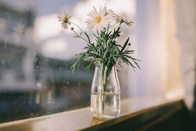 Close-up of vase on table