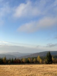 Scenic view of field against sky