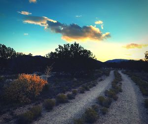 Road against sky during sunset