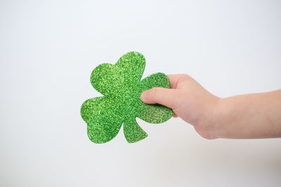 Close-up of hand holding leaf over white background