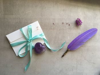 Close-up of feather and envelope on table