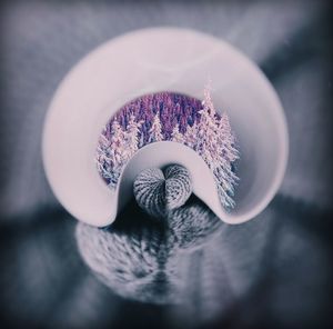 selective focus