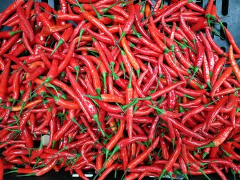 Red chillies for market