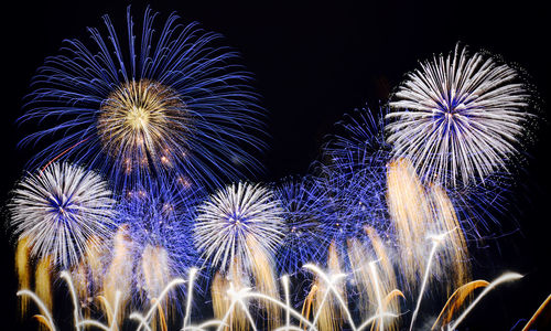 Low angle view of firework display at night