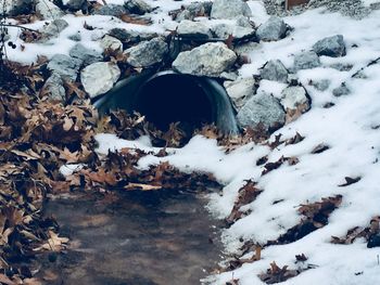 Snow covered landscape