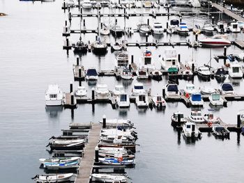 High angle view of sailboats moored in harbor