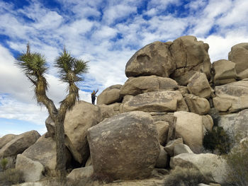 Distance view of woman standing on rock formation at joshua tree national park