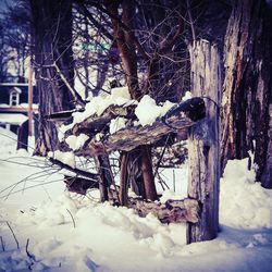 Snow on tree during winter