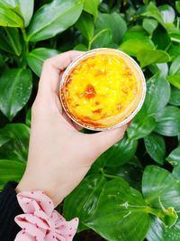 Close-up of woman holding sweet food over plant