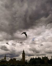 Birds flying over city against cloudy sky