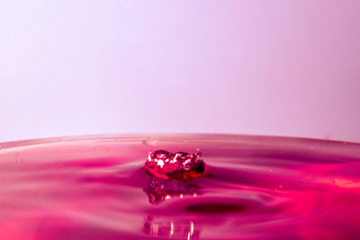 Close-up of water drops on pink over white background