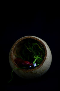 Close-up of fruit against black background