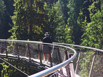 Man standing on footbridge in forest