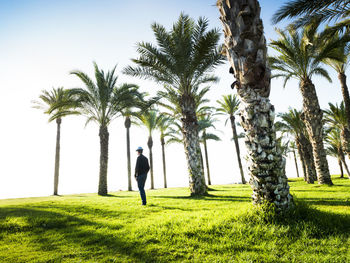 Lord contemplating the sea between palm trees on the beach of pl