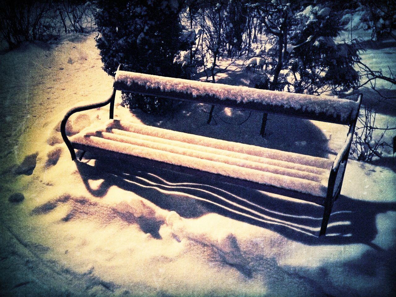 empty, absence, bench, tree, snow, seat, winter, tranquility, chair, bare tree, shadow, no people, outdoors, day, wood - material, sunlight, nature, park bench, cold temperature, covering