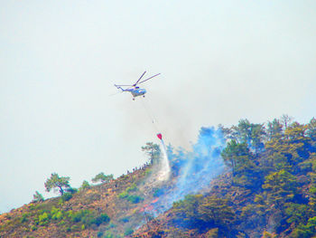 Airplane flying over trees against sky