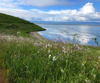 Scenic view of sea and mountains