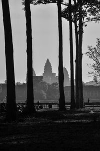 Silhouette trees on landscape against sky