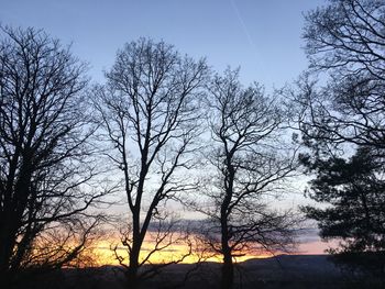 Low angle view of silhouette bare trees against sky