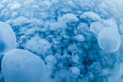 Full frame shot of blue sea