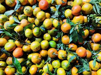 Full frame shot of oranges