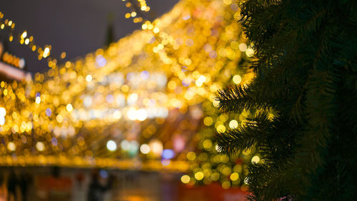 Close-up of illuminated christmas tree at night