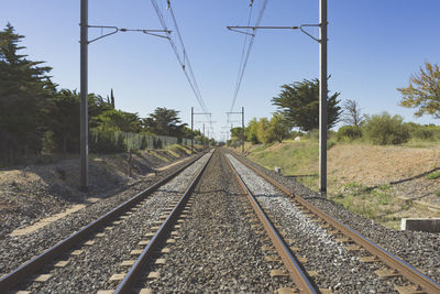 Railroad tracks amidst trees against clear sky