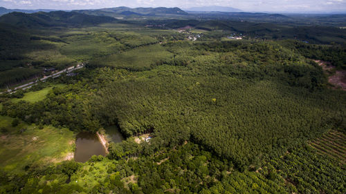 High angle view of agricultural landscape