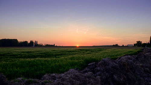 Scenic view of field against sky during sunset