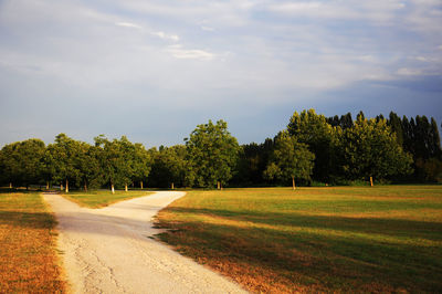 Scenic view of trees on field against sky