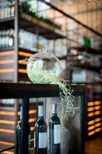 Close-up of illuminated bottle on table