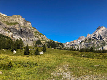 Scenic view of field against clear blue sky