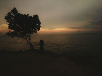 Silhouette tree on beach against sky at sunset