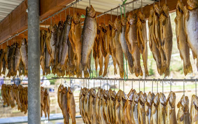 Lots of smoked trouts hanging side by side