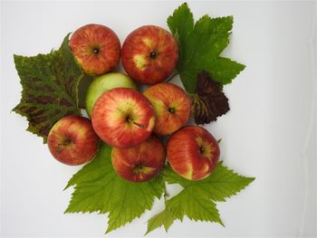 High angle view of apples