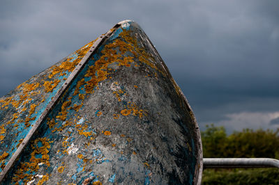 Low angle view of lichen on tree trunk against sky