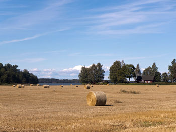 Grain harvest on lake vänern near mariestad in värmland in sweden. the straw bales lie on the harves