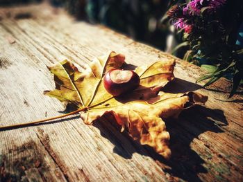 Close-up of dry leaf on wooden table