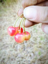 Close-up of hand holding strawberry